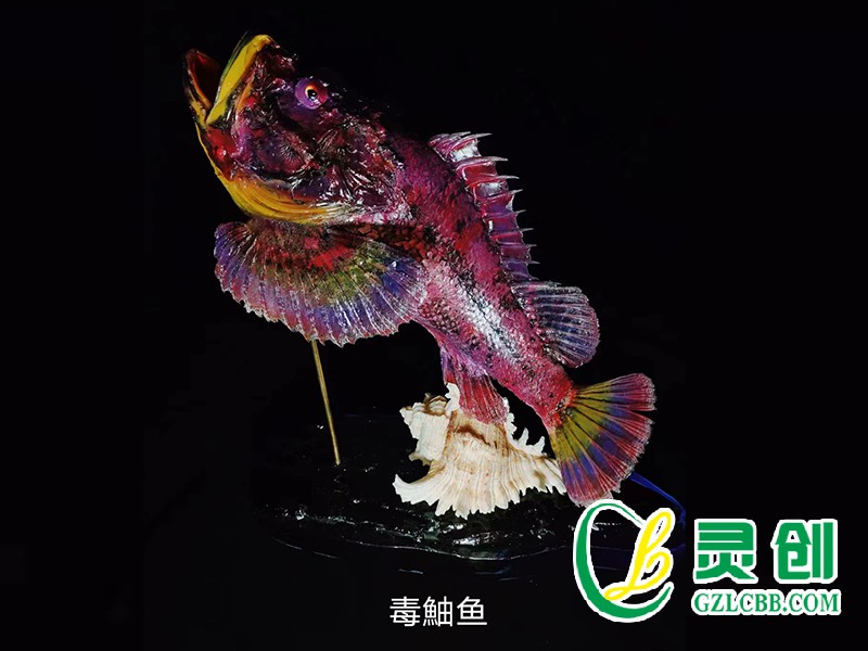 毒鲉魚(yú)標(biāo)本